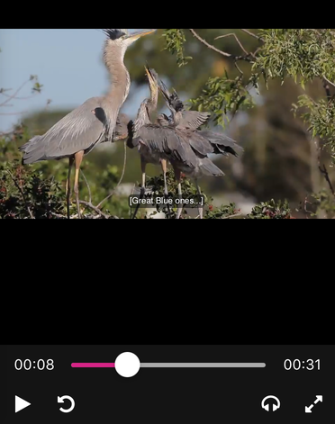 Sous-titres d'accompagnement de livraison dynamique